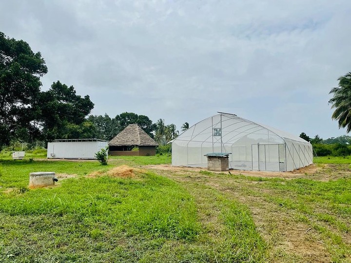 Habitat
