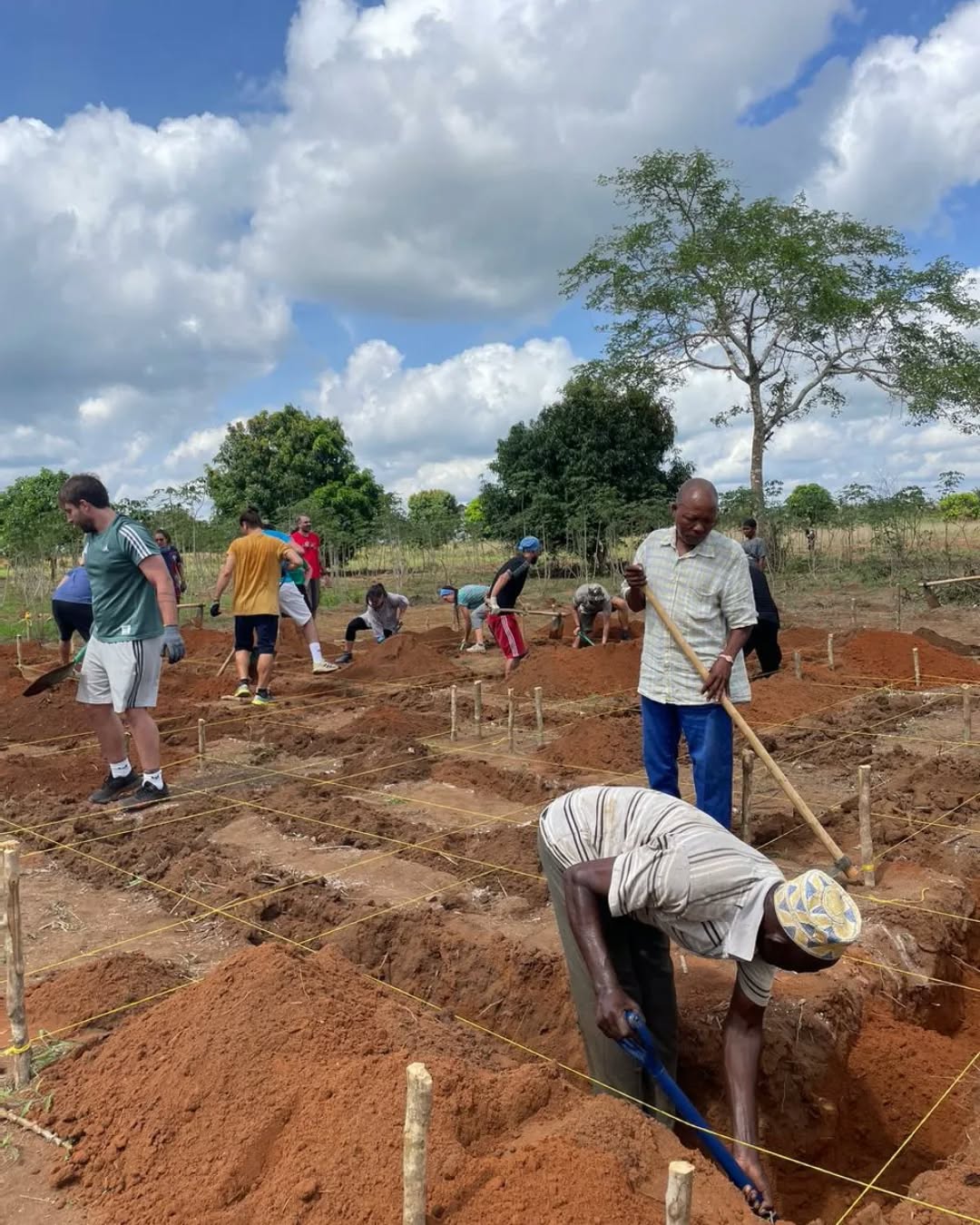 Conservation Fieldwork