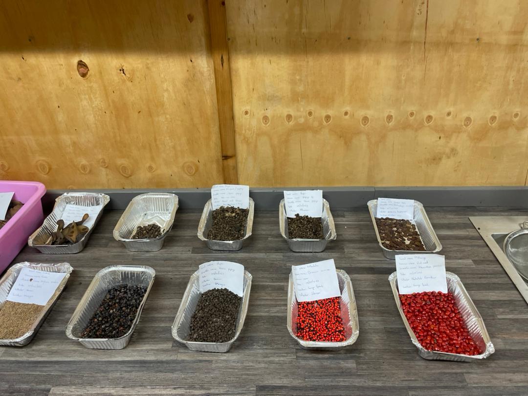 Seed Bank Project