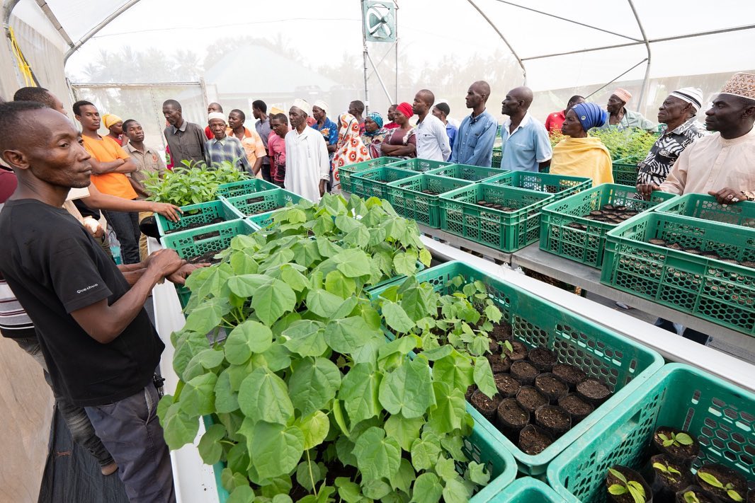 Climate change in Africa